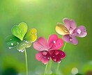 あなたの心の叫びをききます 1人で抱えこまないでどんなことでもここで吐いてください。 イメージ1