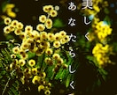 悩みが希望に変わると笑顔になります 気持ちを軽く波動も軽くし、欲しい未来を手にするお手伝いします イメージ7