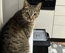 過去に病院に行くほど鬱になっています 今辛いひと、苦しい人、いつでも相談してください。 イメージ6
