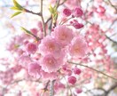 イライラ解消手伝います 誰にも言えないあなたのお話、聞かせてください。 イメージ1