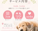 大切なペットへ3日間、1日2回ヒーリングします 大切な家族へ、心を込めて3日間寄り添います イメージ3