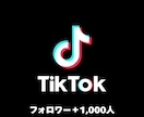 TikTokフォロワー+1,000人増加します ティックトック宣伝や運営、コンサルで+1000人目指します イメージ1