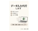 PDF→Excel・データ入力・文字起こし承ります 忙しい作業、代わりにやります！ イメージ1