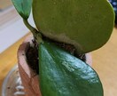 話聞きます なんでも、話してください！聞きます。 イメージ1
