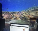 360度投影！全員参加型のVRを提案します VRコンテンツの提供！プロモーションします！ イメージ5