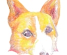 ペットの似顔絵描きます アナログでペットの似顔絵を描きます。 イメージ4