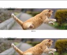 サイトにjQueryでスライドショーを実装します ホームページに物足りなさを感じている方へ イメージ1