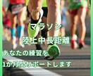 マラソン・中長距離の練習を１カ月間サポートします １か月間　練習メニューの提供＋フィードバック、質問相談対応 イメージ1