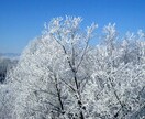動画編集承ります 早い納品を心がけております。ご相談ください。 イメージ1
