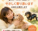 愛犬のヘルニア｜今やるケア方法ます 今の対応で、その後が変わることもあります イメージ1