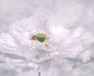 リアルタイムで20分、生命エネルギーをお送りします ヒーリングで体と心を癒し、健やかで穏やかな状態に導きます イメージ4