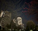 総務秘書があなたの悩みお聞きします どんな内容でもOK。業務効率化もできます。 イメージ1
