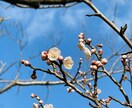 誰かに言いたいあの話、モヤモヤ、傾聴します 誰かに聴いて欲しいモヤモヤ、自慢話、惚気などを受け付けます。 イメージ1