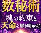 魂コード数秘術で魂の設計書を読み解く方法伝授します 数字が語る魂の約束と天命を解き明かす！魂が選んだ人生シナリオ イメージ2