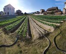 体が欲しがる水で育てる農法･農業を提供します 「その水を変えるダケで！」野菜の革命!【ガイナ農法】 イメージ1