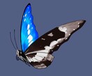 SNSアイコン用昆虫イラスト制作します あなたのお好きな虫、描きます！ イメージ5