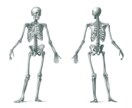 姿勢の歪みを分析し、身体のコンディションを整えます 肩こり・腰痛、倦怠感、身体・顔のむくみ、姿勢で悩む全ての方へ イメージ1