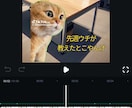特殊な猫ミーム動画作ります 画像生成AIを使用し、オリジナル猫ミーム動画を作りましょう！ イメージ3