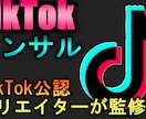 TiKTok公式厳選クリエイターがコンサルします 現役TikTokerがスポットでコンサルします イメージ1