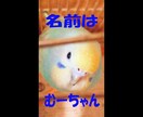 低価格で見映えする動画を編集いたします ご納得いくまで何度でも丁寧に動画編集致します。 イメージ6