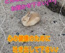 どんな小さな事でもお聞きします 秘密や悩みを吐き出して、心地よい生活を送りませんか？ イメージ1