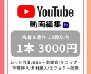 15分以内Youtube/SNS動画の編集します 【５案件限定】実績作りのため格安で編集いたします。修正無料 イメージ1