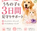 うちの子を3日間じっくり見守りサポートします 朝晩見守りながら心と体のバランスを整えます イメージ1