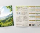 効果のあるパンフ・カタログのデザインを制作します 【修正回数無制限】会社案内や商品パンフレットなどの制作 イメージ4
