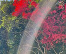 福岡県内にプロを派遣し、神社代理参拝いたします 遠方の方、プロに参拝をお願いしたい方に✨　神社代理参拝✨ イメージ2