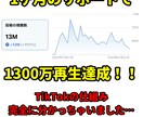 現役クリエイターがTikTok1ヶ月運用代行します ～バズるきっかけをあなたに～　1ヶ月間のサポートを提供します イメージ3