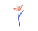 シンプルなお花のイラスト制作します 3枚！さりげなくおしゃれなアイコンにしたい方へ イメージ1