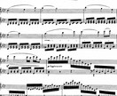 楽譜に指番号や音楽用語の意味を代筆します 面倒な作業をかわりにお手伝いします！ イメージ1