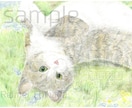大切なペットを色鉛筆で描きます 家族を、絵として飾ってみませんか？ イメージ3
