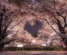 お話しします 自主規制。緊急事態宣言出たので老若男女話しませんか？ イメージ1