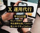 忙しいあなたの代わりにXを運用いたします フォロー・いいね・コメント　100件/日 イメージ1