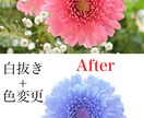 画像の背景透過、切り抜きします ～10枚まで1000円！即日対応可能◎ イメージ2