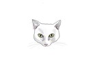 飼い猫ちゃんの顔似顔絵描きます 皆さんのキュートな飼い猫ちゃんたちをイラストに。 イメージ3