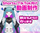 Shorts/TikTok用の短い動画作ります 活動者さんにおすすめ！可愛く作ります！ イメージ1