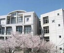 開成中高出身の私が志望校決定のサポートをします 偏差値だけで決めてませんか？後悔しない志望校選び イメージ1