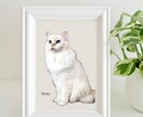 肖像画風画像作成ます 大切なペット猫ちゃんの写真を飾りたい人へ イメージ1