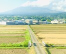 転職10回以上＊発達特性有のお仕事経験をお話します 事務、受付、在宅勤務、営業…多様に働いてきたリアルお話します イメージ2