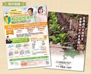 5名様限定プラン！チラシの制作します シンプル&ベーシックでお手頃に作ります！ イメージ7