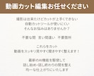 YouTubeなど動画編集｜カット作業を代行します 【30分まで3,000円】ジェットカットもOK！ イメージ2