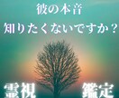 お相手の本音を視て、あなたを次のステップへ導きます 片想い、結婚、復縁、複雑愛にお悩みの貴方へ イメージ1