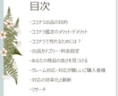 出品！から【売れる】を目指すテキストお譲りします ♡占い師向け♡出品から【売れる】まで、今から持っていきます！ イメージ2