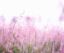 遠隔霊氣ヒーリング心と身体を癒します おまけとして、オラクルチャネリング致します。 イメージ3