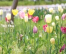 女子大生がワンコインで2日間話のお相手になります (何か人に話せないような悩みのある方、話を聞いて欲しい方) イメージ3