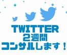 資産形成★Twitter２週間運用コンサルします ～難しいTwitter運用を１からお教えします～ イメージ1