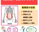 飽きない、見やすいチラシメニュー作ります 2種でこの価格です！あれとこれと…と迷ってる方私におまかせ！ イメージ2