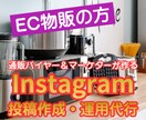 EC物販★商品PRのInstagram投稿作ります 通販マーケティングの経験を活かしたインスタグラム投稿制作代行 イメージ1